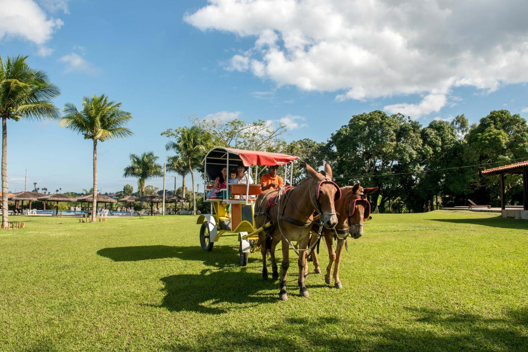 Hotel Fazenda Mirage Feira de Santana Eksteriør billede